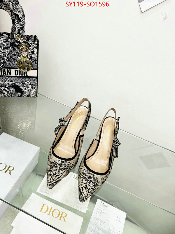 Women Shoes-Dior,high quality online , ID: SO1596,$: 119USD