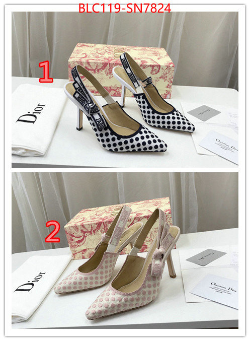 Women Shoes-Dior,online from china designer , ID: SN7824,$: 119USD