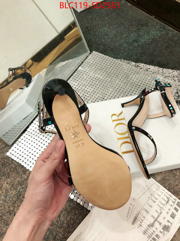 Women Shoes-Dior,sell online luxury designer , ID: SD2561,$: 119USD