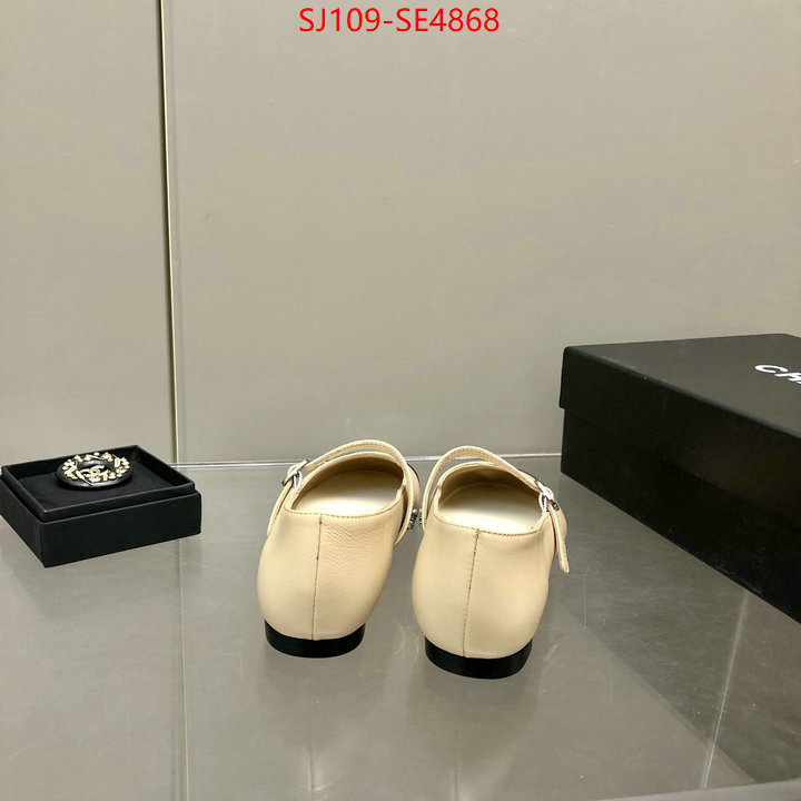 Women Shoes-Chanel,only sell high-quality , ID: SE4868,$: 109USD