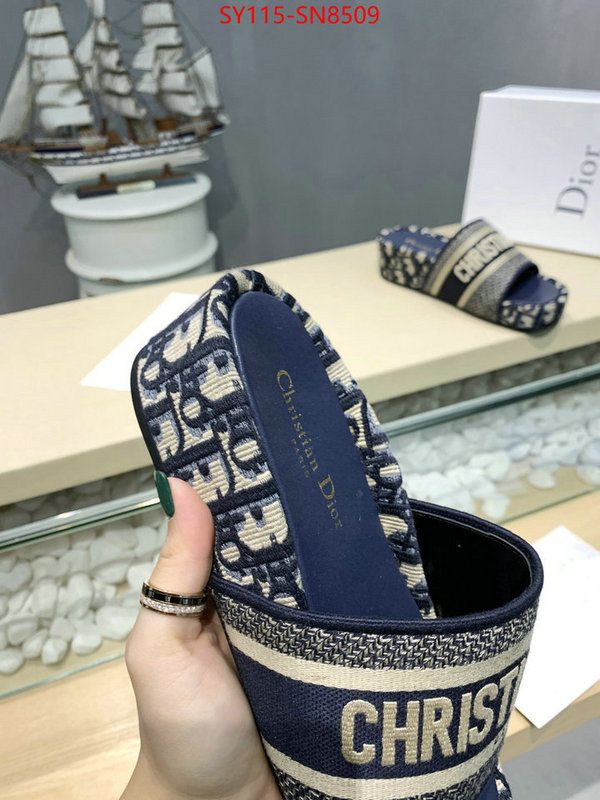 Women Shoes-Dior,sell online , ID: SN8509,$: 115USD