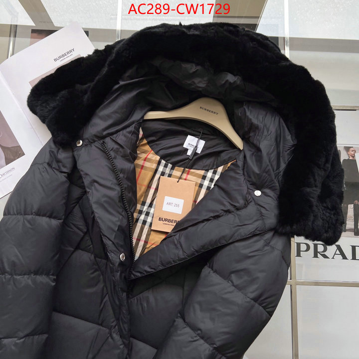 Down jacket Women-Burberry,website to buy replica , ID: CW1729,$: 289USD