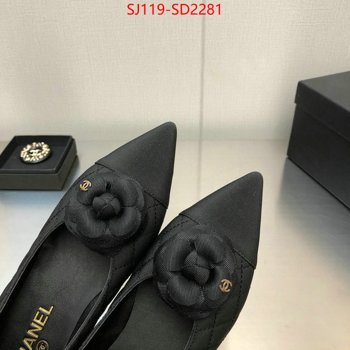 Women Shoes-Chanel,buy best quality replica , ID: SD2281,$: 119USD