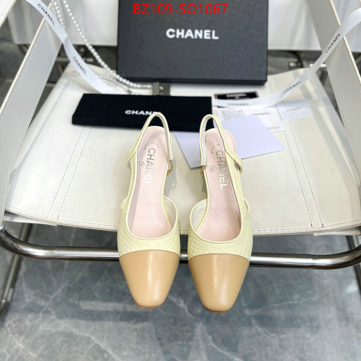 Women Shoes-Chanel,brand designer replica , ID: SO1067,$: 109USD