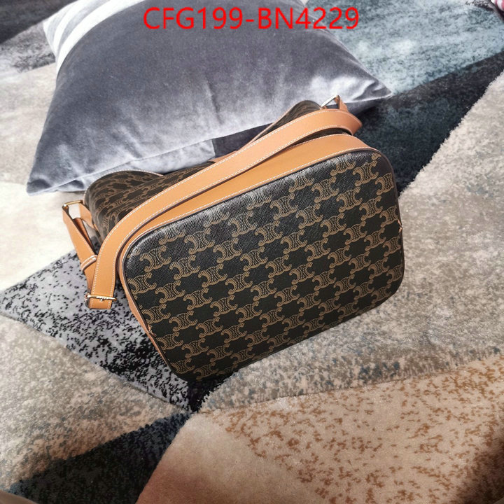 CELINE Bags(TOP)-Diagonal,high quality replica ,ID: BN4229,$: 199USD