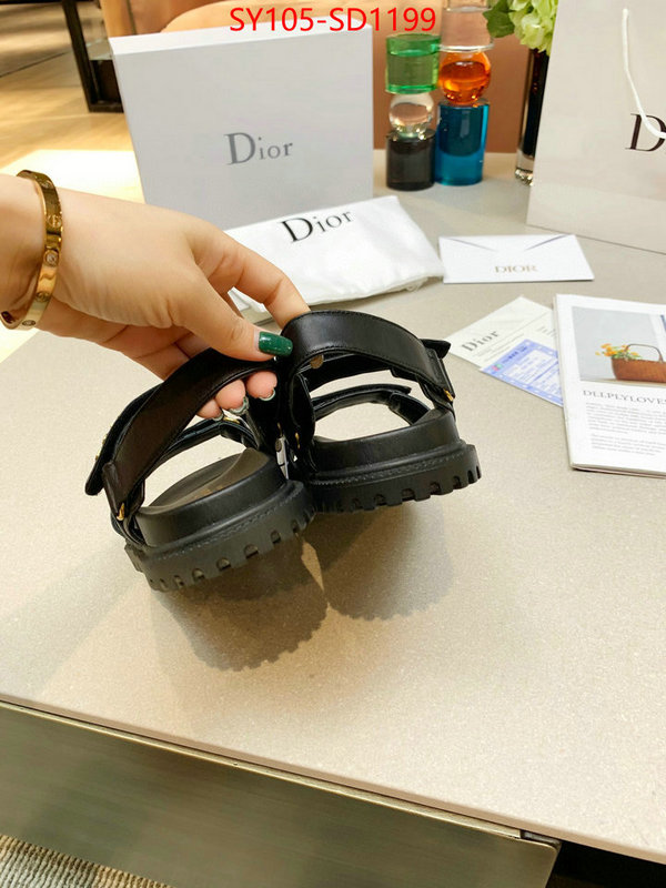 Women Shoes-Dior,online from china designer , ID: SD1199,$: 105USD