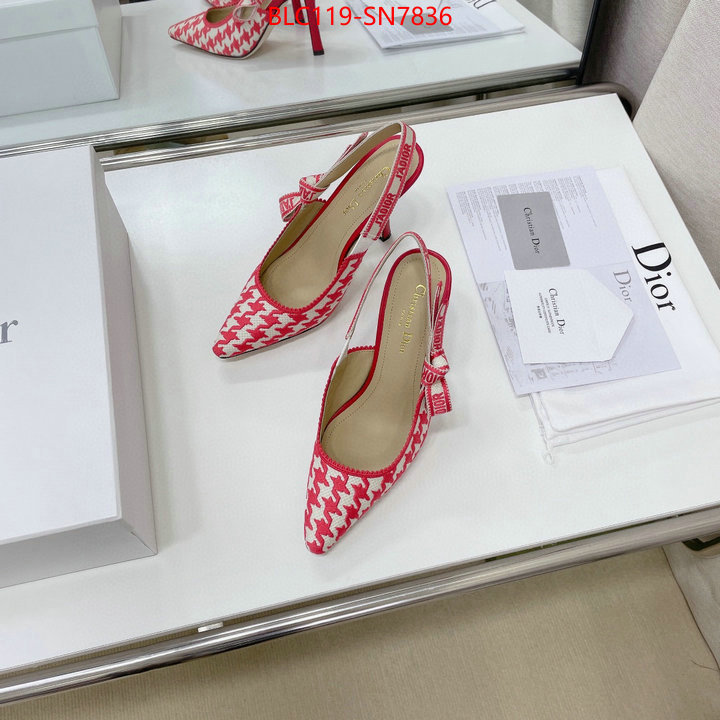 Women Shoes-Dior,what's the best to buy replica , ID: SN7836,$: 119USD