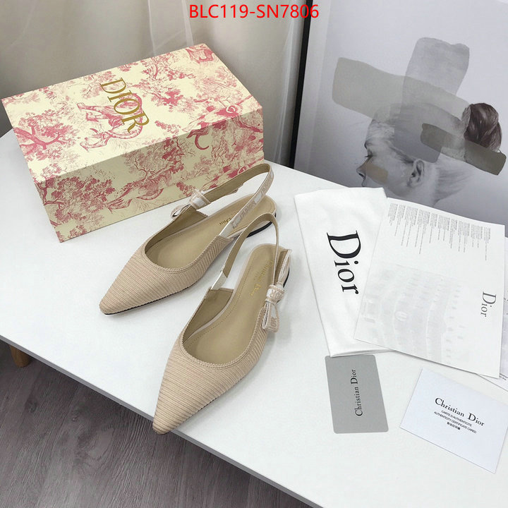 Women Shoes-Dior,how to find replica shop , ID: SN7806,$: 119USD