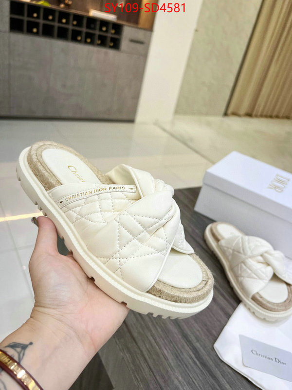 Women Shoes-Dior,perfect quality designer replica , ID: SD4581,$: 109USD