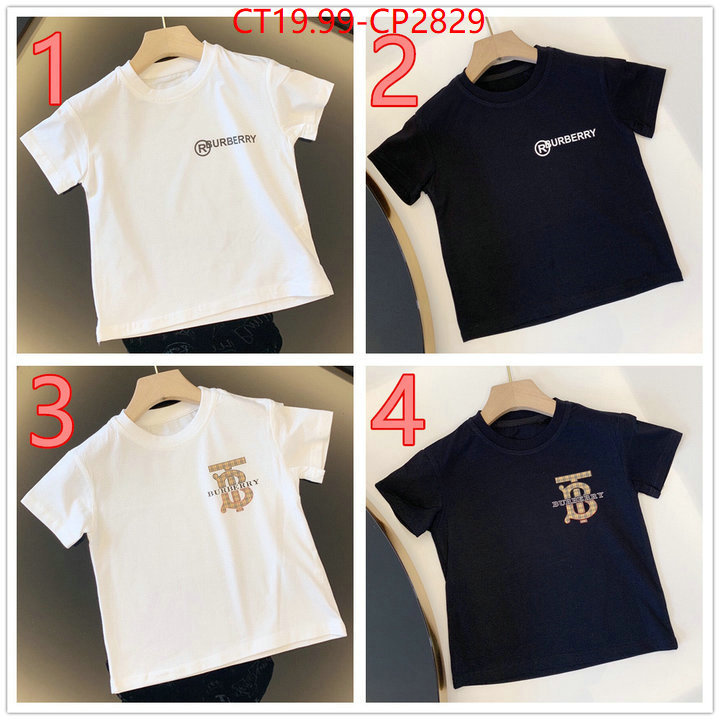 Kids clothing-Burberry,replica sale online , ID: CP2829,