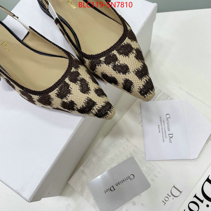 Women Shoes-Dior,7 star , ID: SN7810,$: 119USD