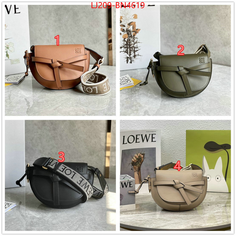Loewe Bags(TOP)-Diagonal-,replica 1:1 high quality ,ID: BN4619,$: 209USD