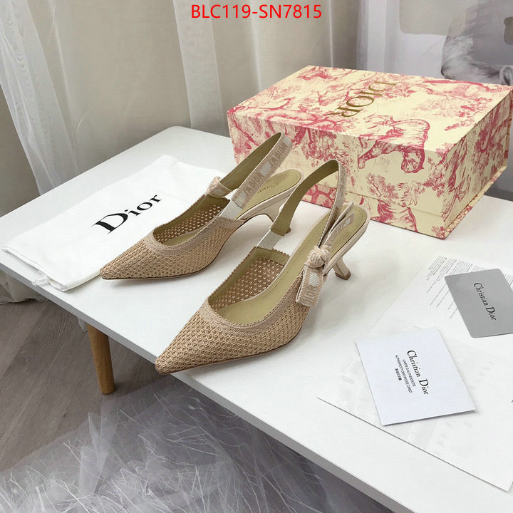 Women Shoes-Dior,shop cheap high quality 1:1 replica , ID: SN7815,$: 119USD