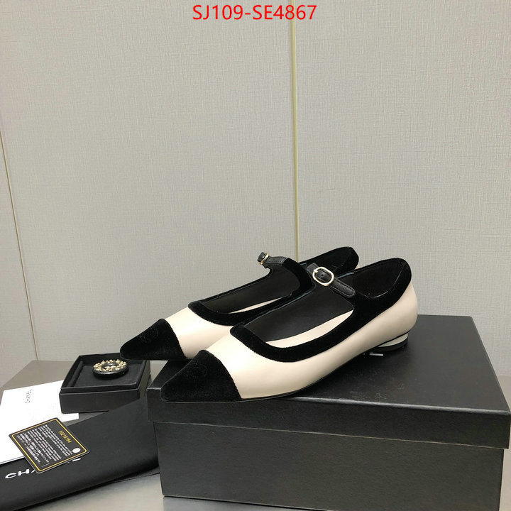 Women Shoes-Chanel,high-end designer , ID: SE4867,$: 109USD