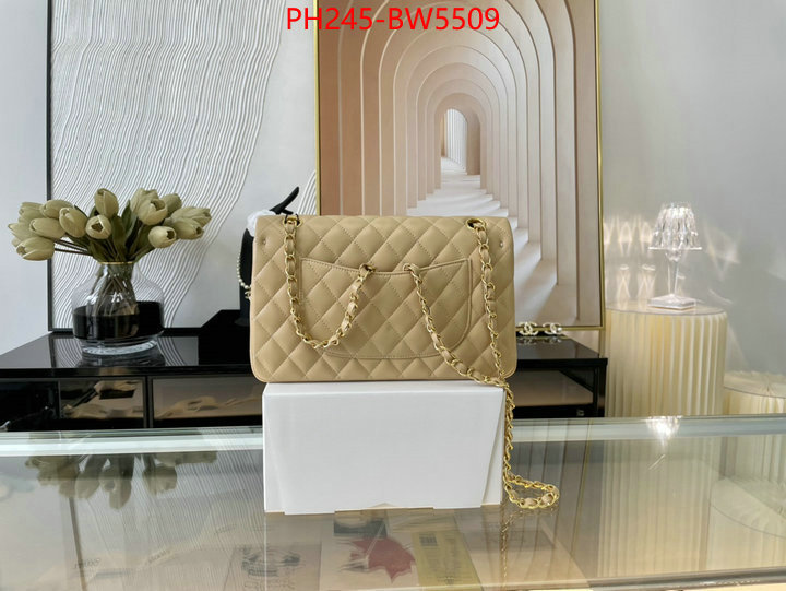 Chanel Bags(TOP)-Diagonal-,ID: BW5509,$: 245USD