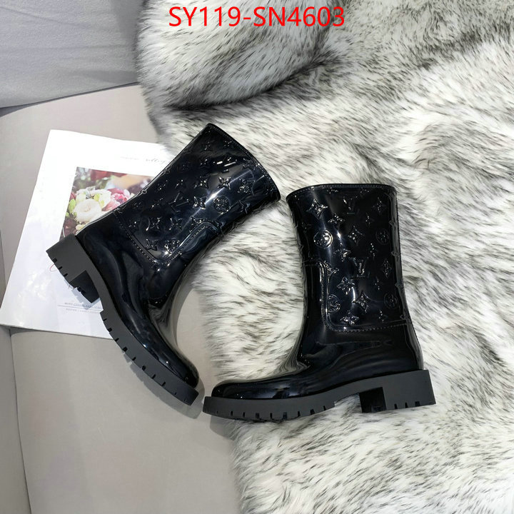 Women Shoes-LV,aaaaa class replica , ID: SN4603,$: 119USD