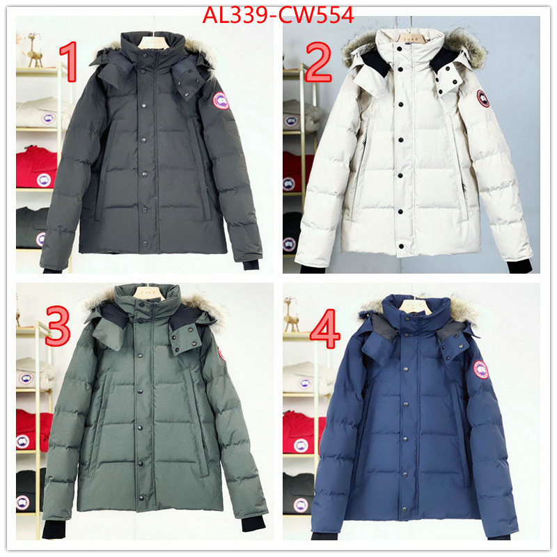 Down jacket Women-Canada Goose,best designer replica , ID: CW554,$: 339USD