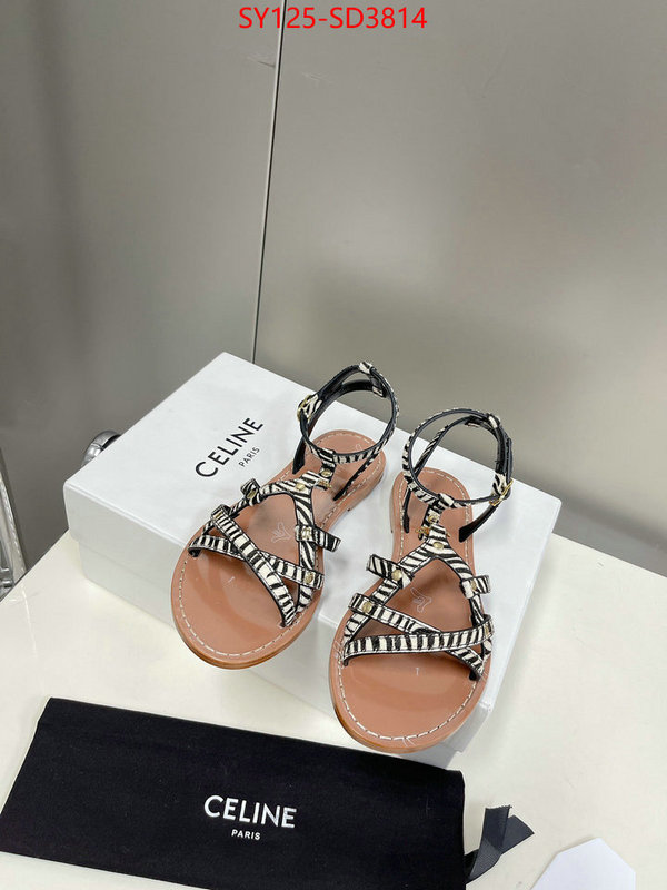 Women Shoes-CELINE,mirror quality , ID: SD3814,$: 125USD