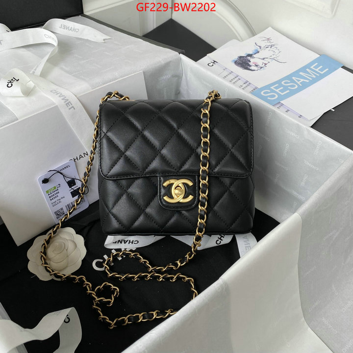 Chanel Bags(TOP)-Diagonal-,ID: BW2202,$: 229USD