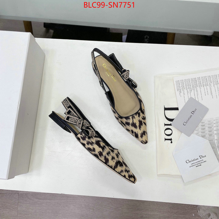 Women Shoes-Dior,the best quality replica , ID: SN7751,$: 99USD