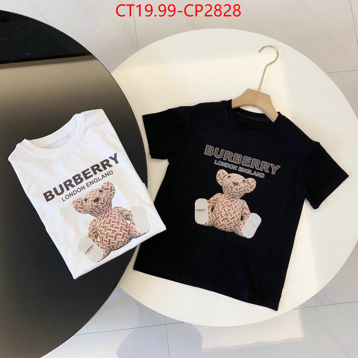 Kids clothing-Burberry,high quality , ID: CP2828,