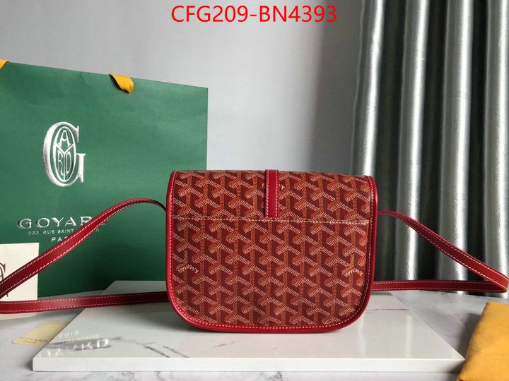 Goyard Bags(TOP)-Diagonal-,ID: BN4393,$: 209USD