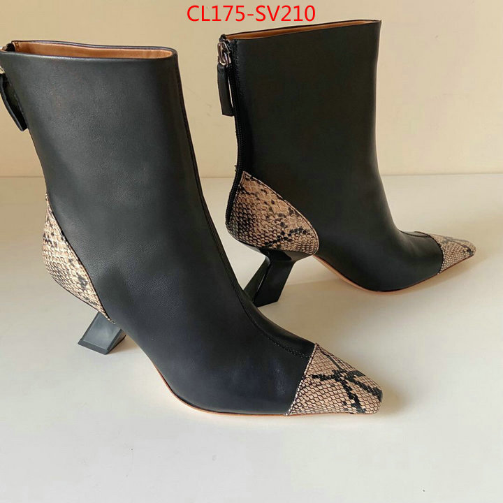 Women Shoes-REJINA PYO,best replica quality , ID:SV210,$:175USD