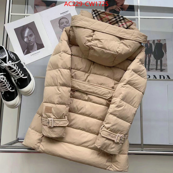 Down jacket Women-Burberry,how to start selling replica , ID: CW1725,$: 229USD