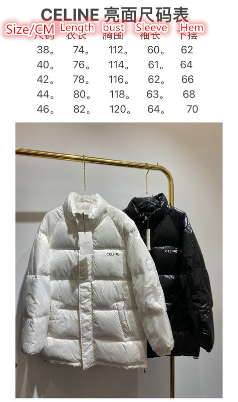 Down jacket Men-Celine,can you buy replica , ID: CO989,$: 169USD