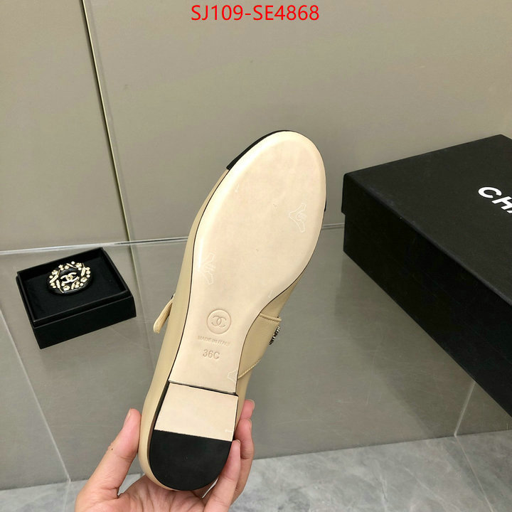 Women Shoes-Chanel,only sell high-quality , ID: SE4868,$: 109USD