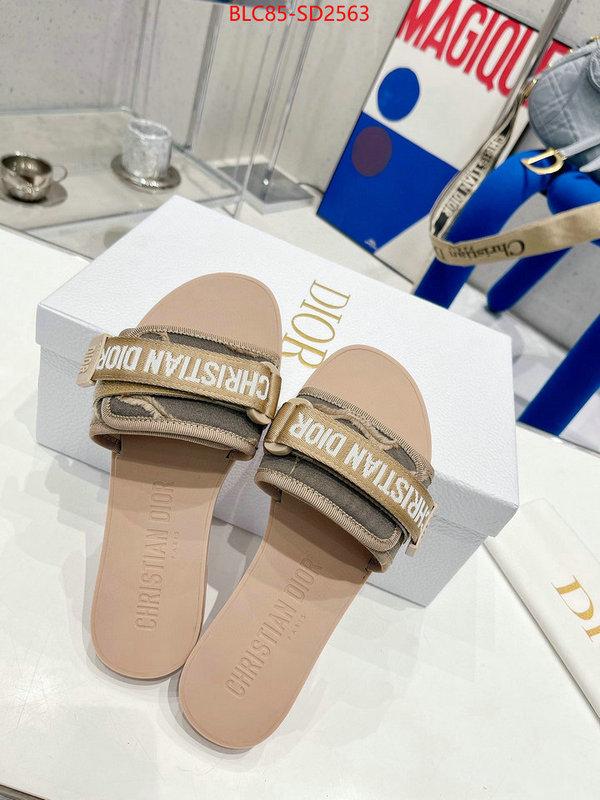 Women Shoes-Dior,high end designer , ID: SD2563,$: 85USD