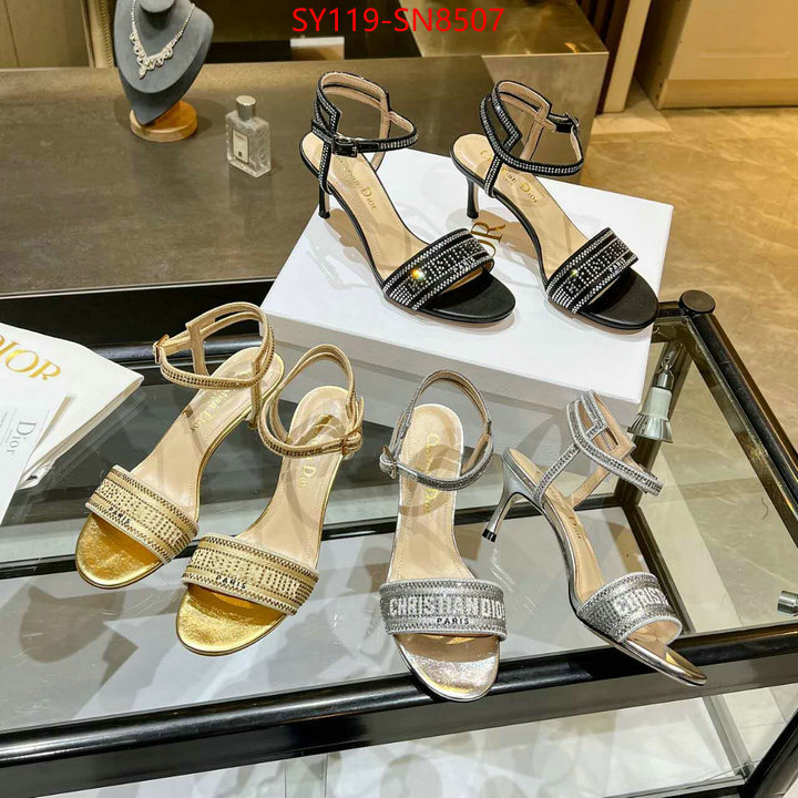 Women Shoes-Dior,new 2023 , ID: SN8507,$: 119USD