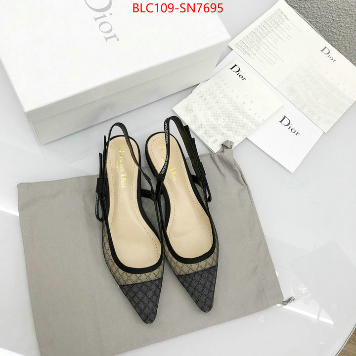 Women Shoes-Dior,hot sale , ID: SN7695,$: 109USD