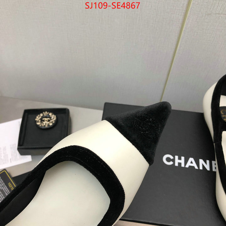 Women Shoes-Chanel,high-end designer , ID: SE4867,$: 109USD