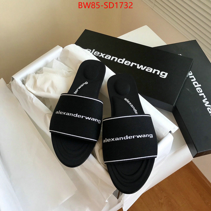 Women Shoes-Alexander Wang,mirror copy luxury , ID: SD1732,$: 85USD
