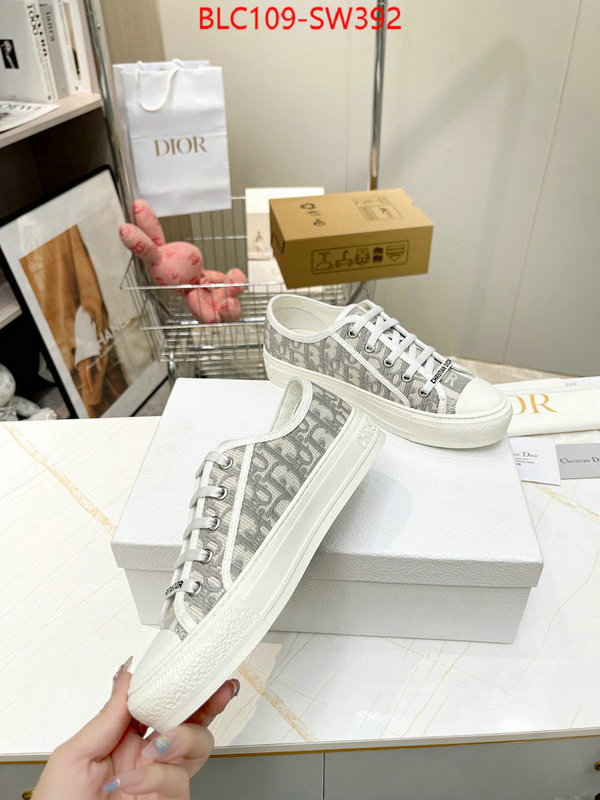 Women Shoes-Dior,what's the best place to buy replica , ID: SW392,$: 109USD