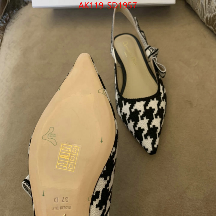 Women Shoes-Dior,fashion designer , ID: SD1957,$: 119USD