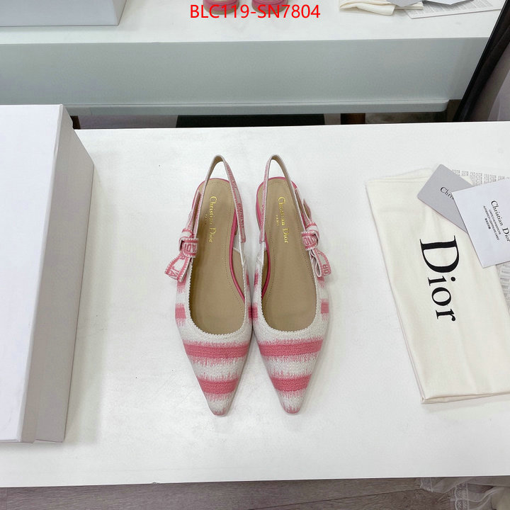 Women Shoes-Dior,wholesale designer shop , ID: SN7804,$: 119USD