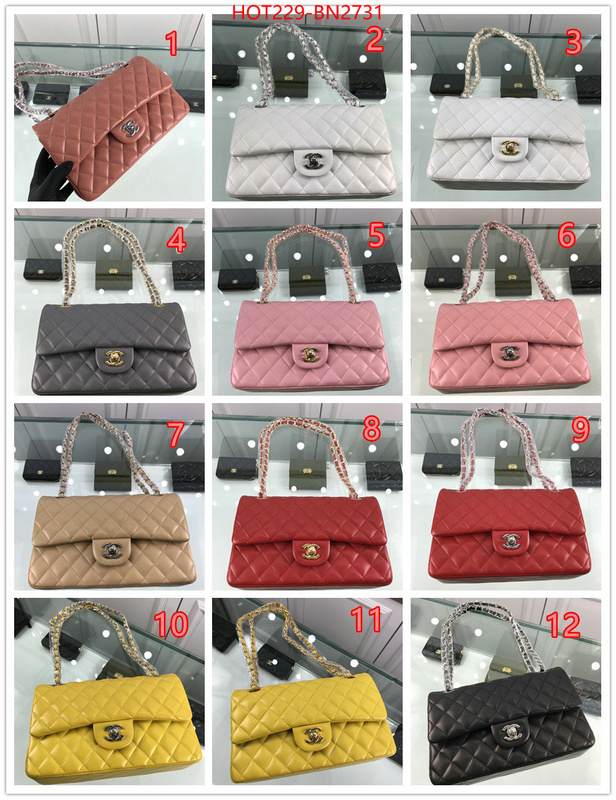 Chanel Bags(TOP)-Diagonal-,ID: BN2731,$: 229USD