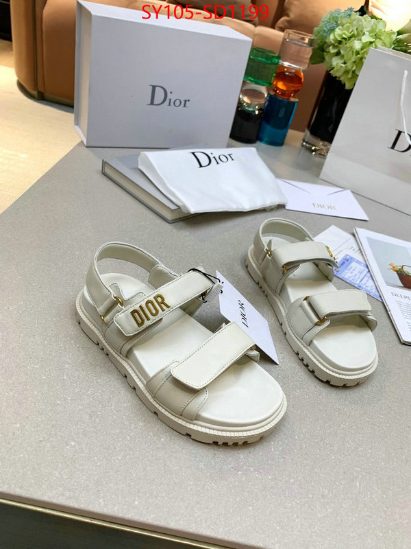 Women Shoes-Dior,online from china designer , ID: SD1199,$: 105USD