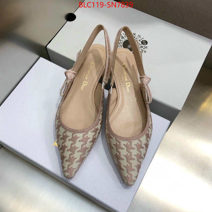 Women Shoes-Dior,how to start selling replica , ID: SN7839,$: 119USD