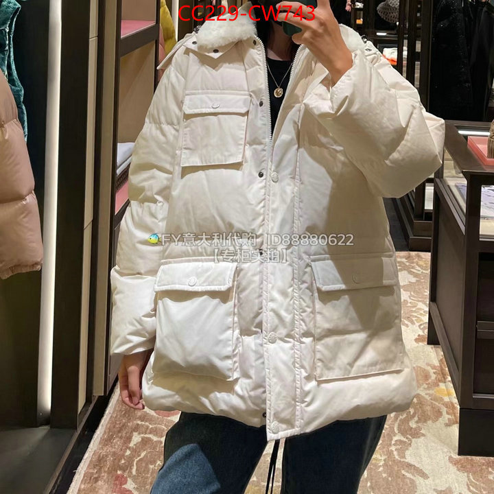 Down jacket Women-Moncler,what are the best replica , ID: CW743,$: 229USD