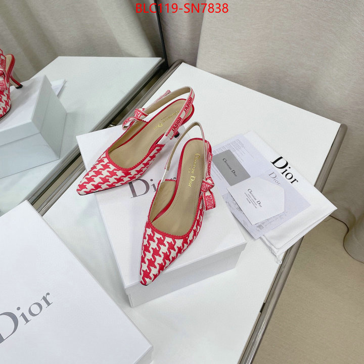 Women Shoes-Dior,can i buy replica , ID: SN7838,$: 119USD