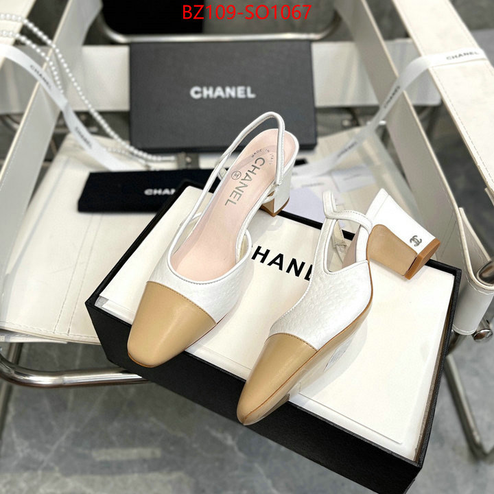 Women Shoes-Chanel,brand designer replica , ID: SO1067,$: 109USD