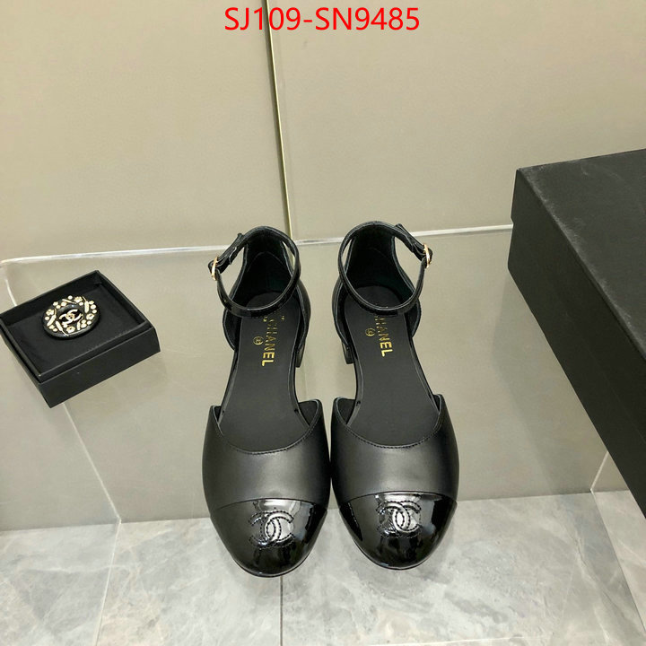 Women Shoes-Chanel,perfect replica , ID: SN9485,$: 109USD