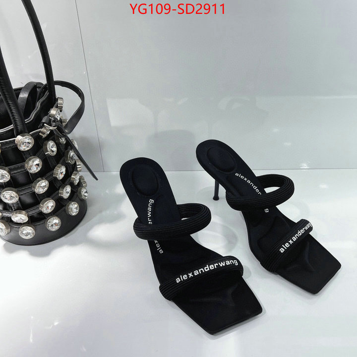 Women Shoes-Alexander Wang,where can you buy replica , ID: SD2911,$: 109USD