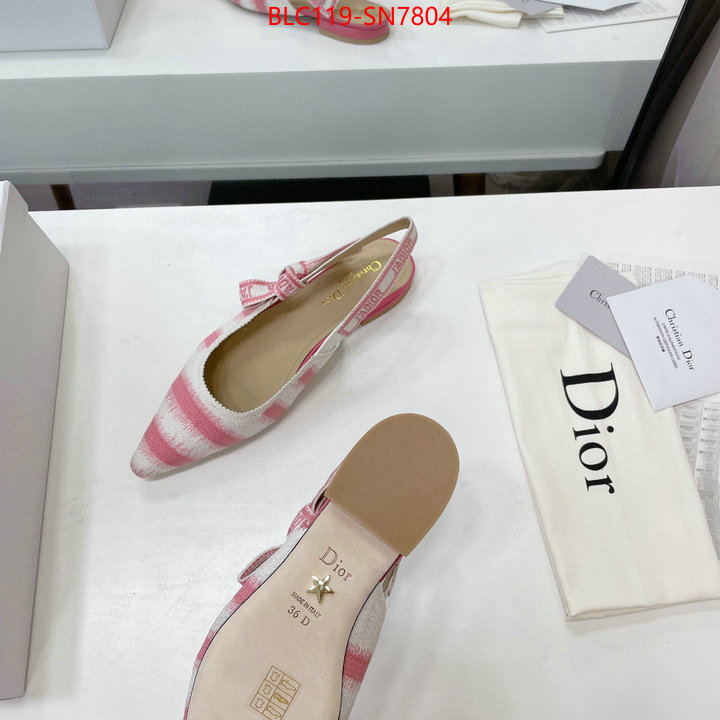 Women Shoes-Dior,wholesale designer shop , ID: SN7804,$: 119USD