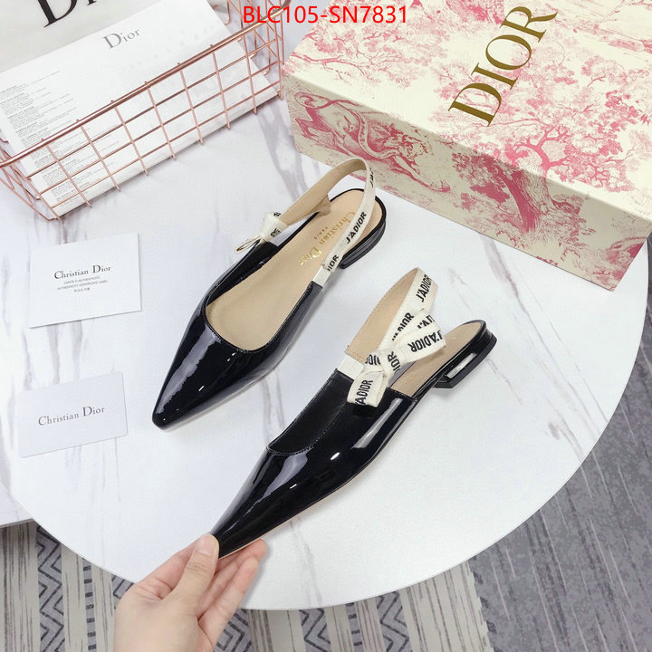 Women Shoes-Dior,aaaaa customize , ID: SN7831,$: 105USD