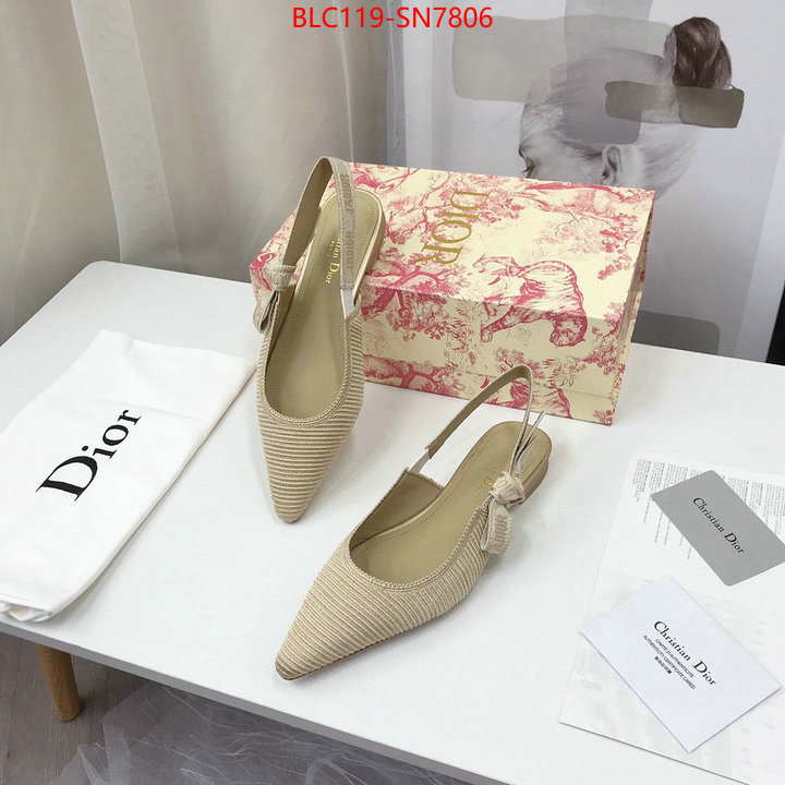 Women Shoes-Dior,how to find replica shop , ID: SN7806,$: 119USD