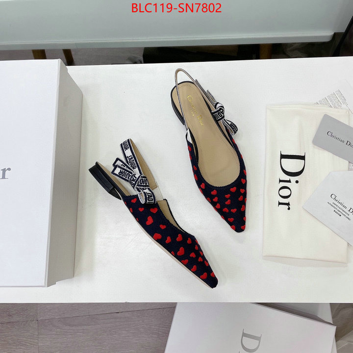 Women Shoes-Dior,high end designer , ID: SN7802,$: 119USD